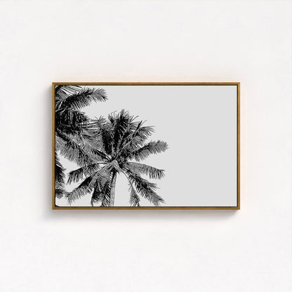 Wind