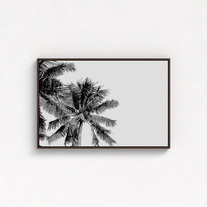 Wind