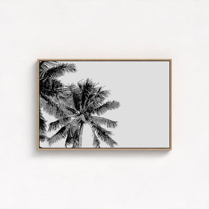 Wind