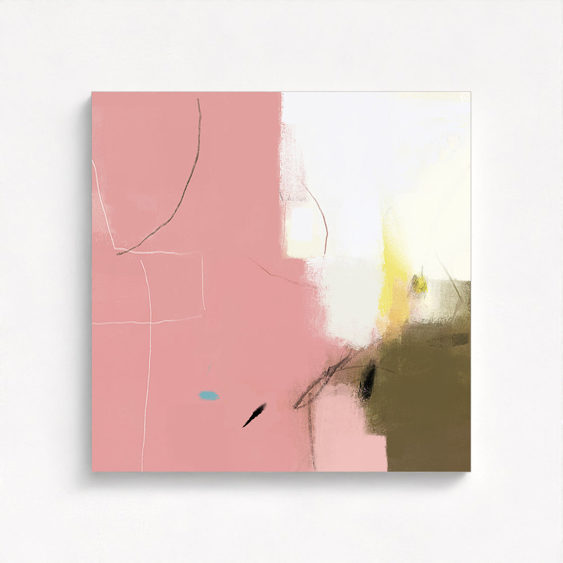 Chanel's back garden